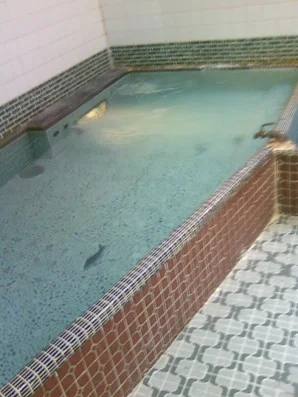 福助湯(閉館しました)