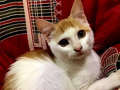 フォトアルバム13