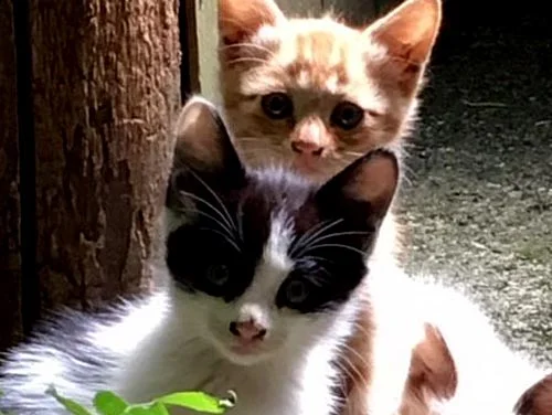 フォトアルバム14