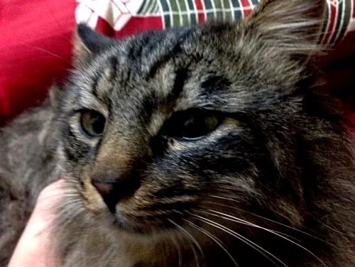 フォトアルバム15