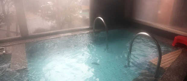 蒲生野の湯（がもうののゆ）