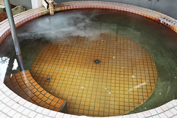 蒲生野の湯（がもうののゆ）