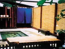 東大沼温泉 旅館 留の湯(閉館しました)