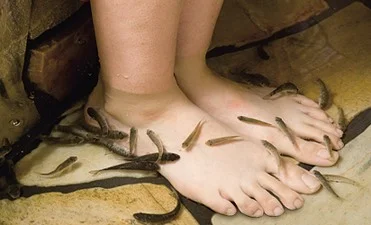 リラクゼーション・岩盤浴3