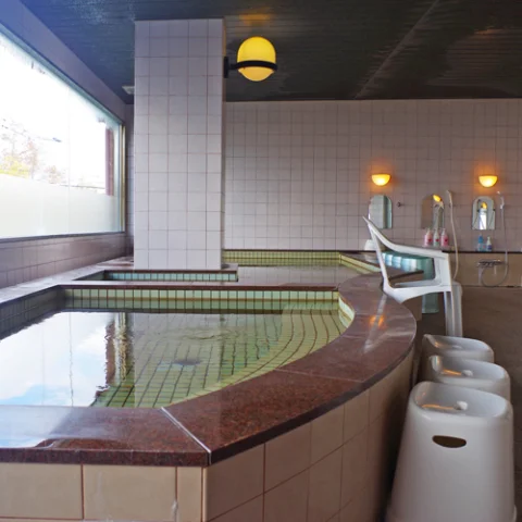 Ayaha Lakeside Hotel - Shiga