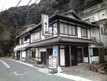 ぼだい樹