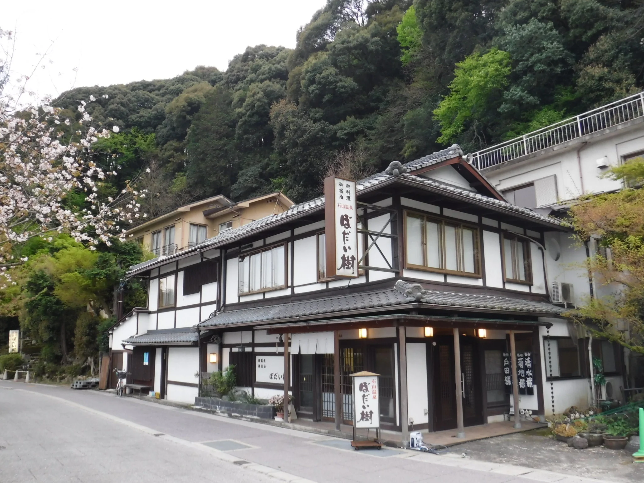 ぼだい樹