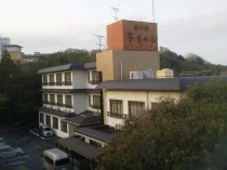 木もれび