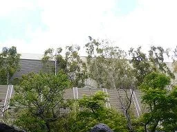 京都桂温泉 仁左衛門の湯(にざえもんのゆ)