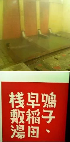 鳴子・早稲田桟敷湯（なるこ わせださじきゆ）