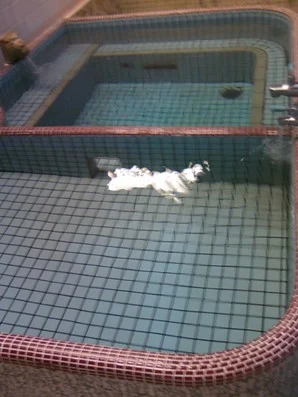 松本湯(閉館しました)