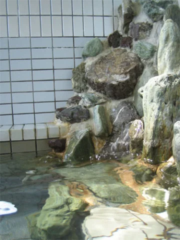 Yuhigaura Onsen Natural Hot Spring Akaneumi Ryokan - Kyoto