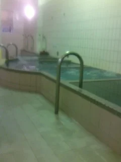 弥生湯(閉館しました)