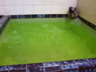 栄湯(閉館しました)