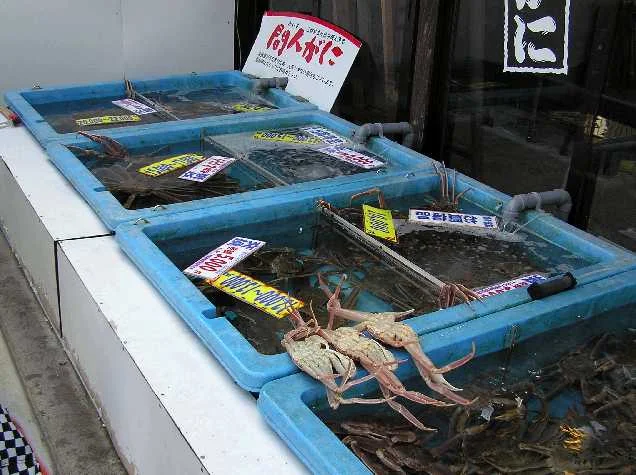 レイクサイド琴引