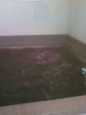 笠の湯(閉館しました)