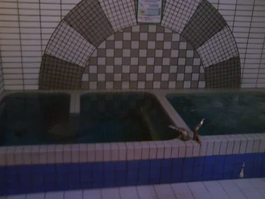 岩戸湯(閉館しました)