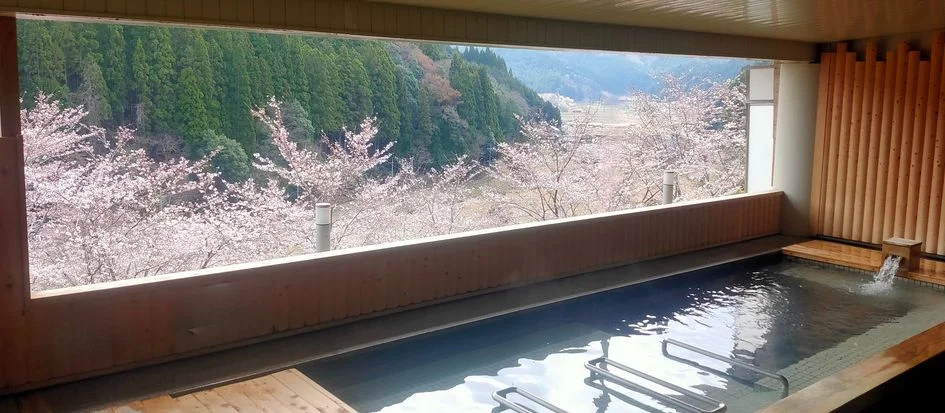 トップメイン画像1