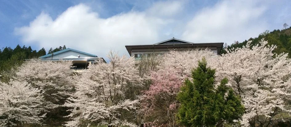 トップメイン画像3