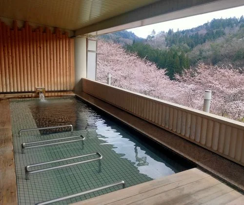 フォトアルバム1