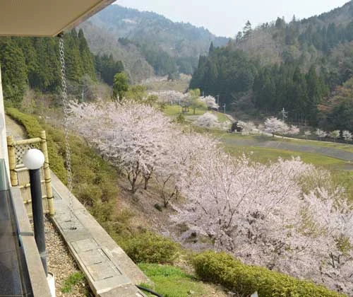 フォトアルバム16