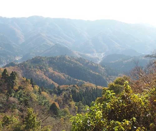 フォトアルバム18