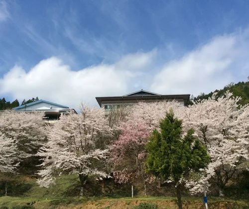 フォトアルバム19