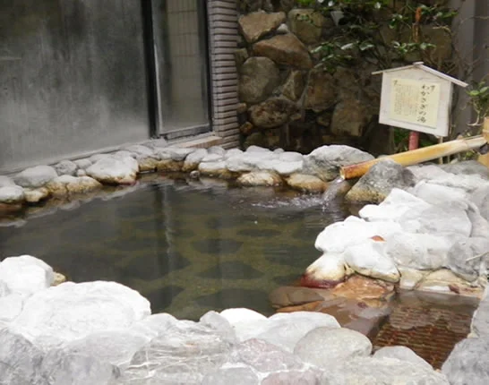 わかさぎ温泉 笠置いこいの館(閉館しました)