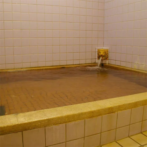 Yurayura Onsen Village Ryokan Hogetsu - Kyoto