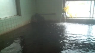 新岡温泉