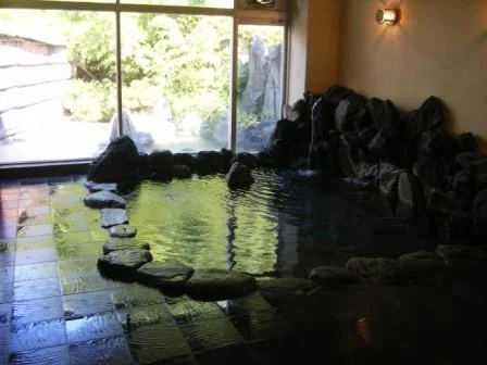 ホテルゑびすや(閉館しました)