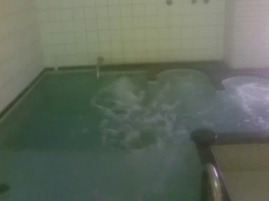 スパッションさくらゆ【閉館しました】