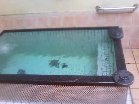 スパッションさくらゆ【閉館しました】