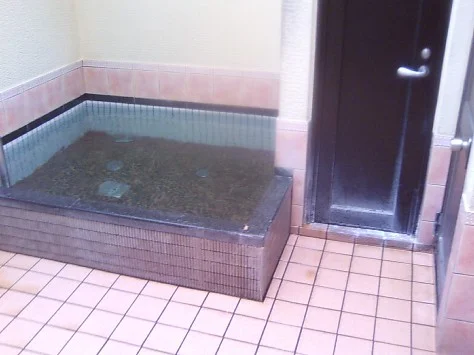 スパッションさくらゆ【閉館しました】