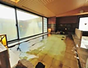 天然温泉 岩木桜の湯 ドーミーイン弘前