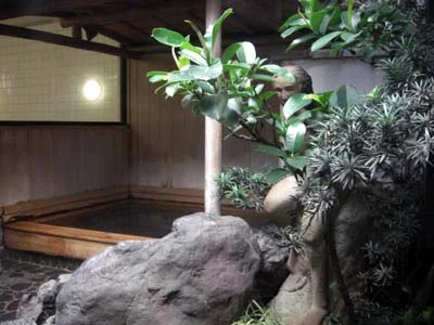 船岡温泉