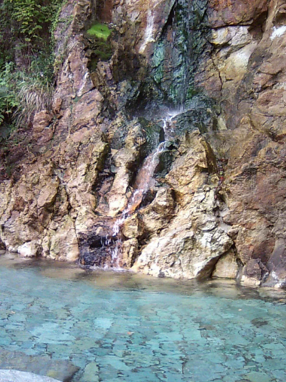 久美浜温泉 湯元館