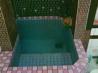 金龍湯