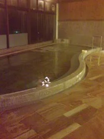 夜久野高原温泉 ほっこり館（閉館しました）