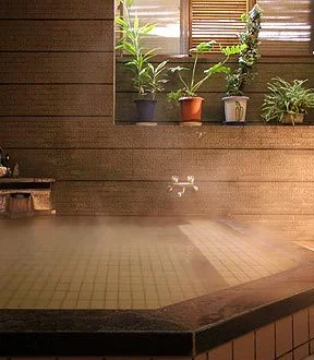 Kotobashi Onsen, Umibe no Yado, Ryushin - Kyoto