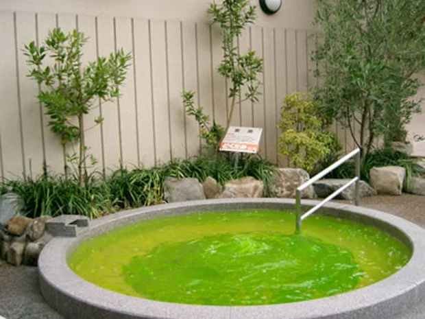 神々が宿る杜の天然温泉 かもきみの湯
