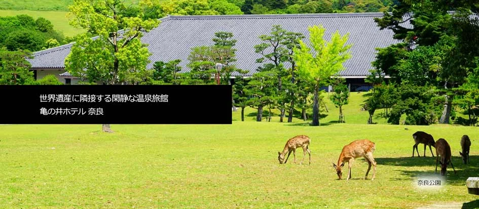 トップメイン画像3