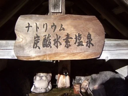 田花館