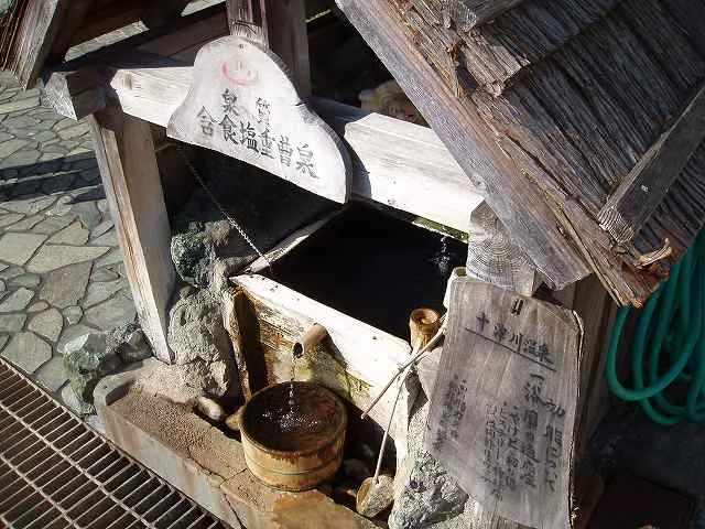 田花館