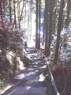 出谷温泉公衆浴場 つるつる乃湯（閉館しました）