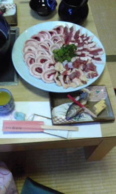 ホテルのせ川