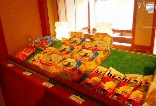 フォトアルバム19