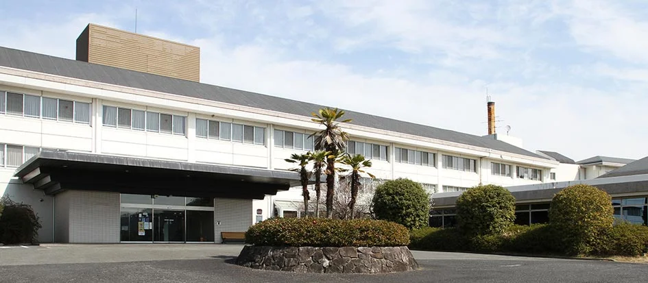 トップメイン画像5