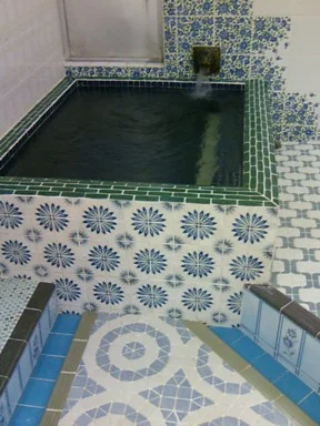 ニュー福寿温泉(休業中)