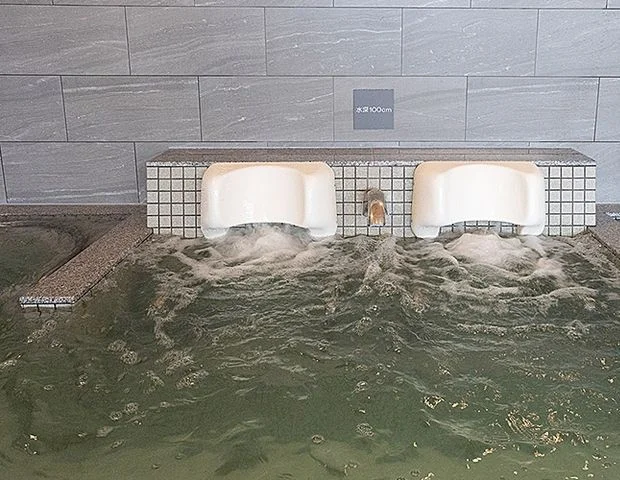 天然温泉 虹の湯 西大和店
